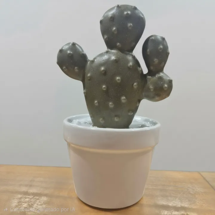 Maceta cerámica decorativa cactus